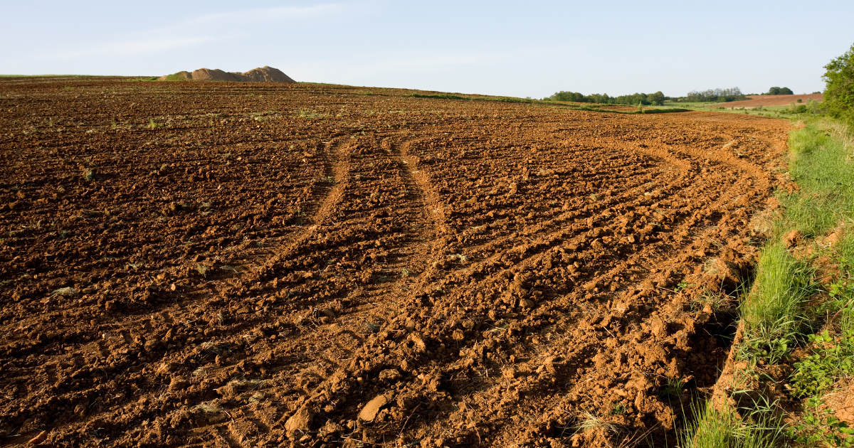 Top 3 Hunting Tips & Insights for Outdoorsmen in Southern Iowa